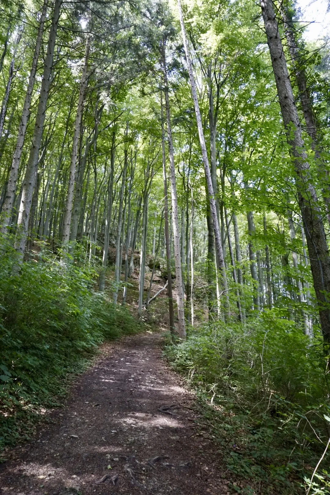 Peilstein Rundweg