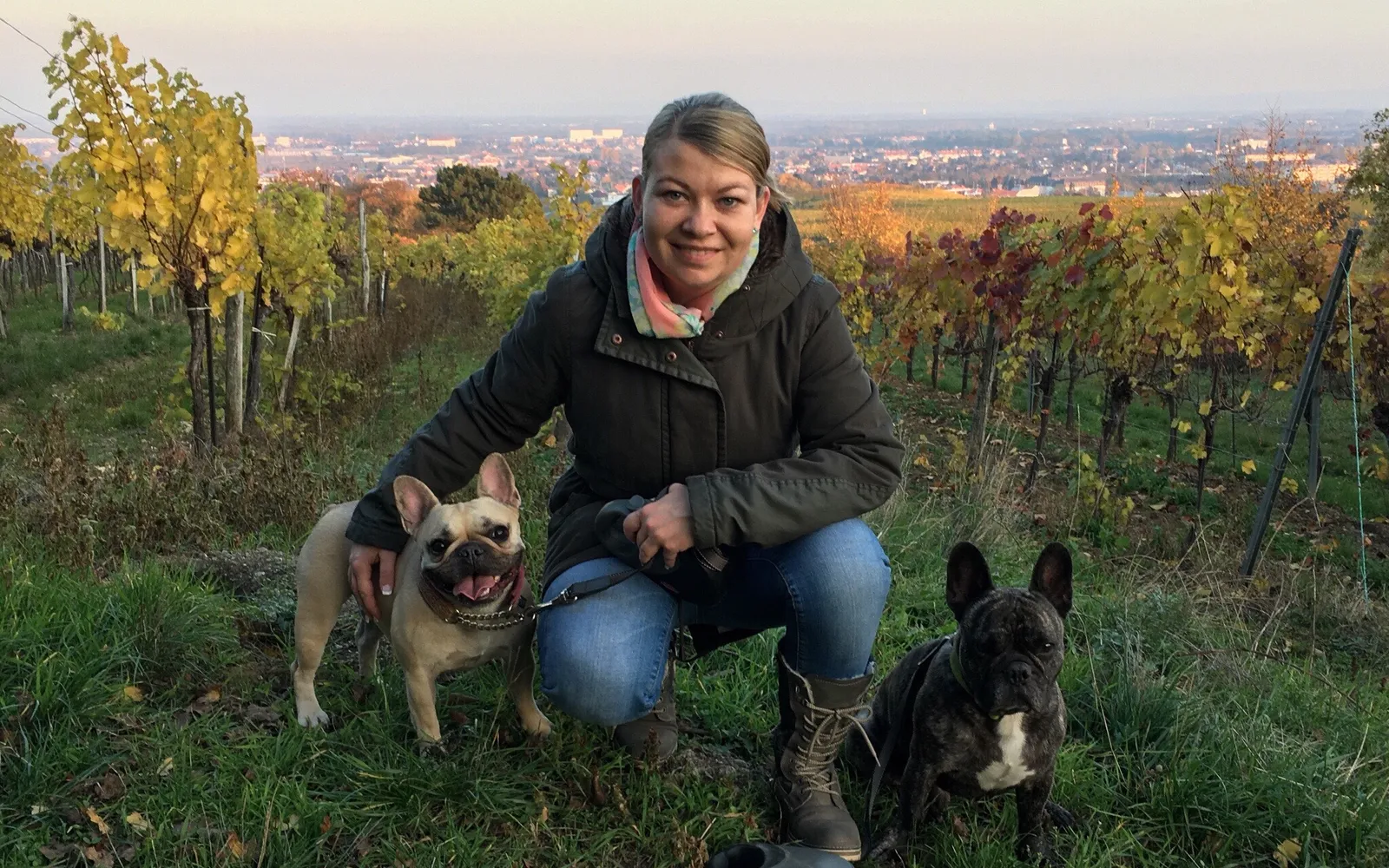 French Bulldog