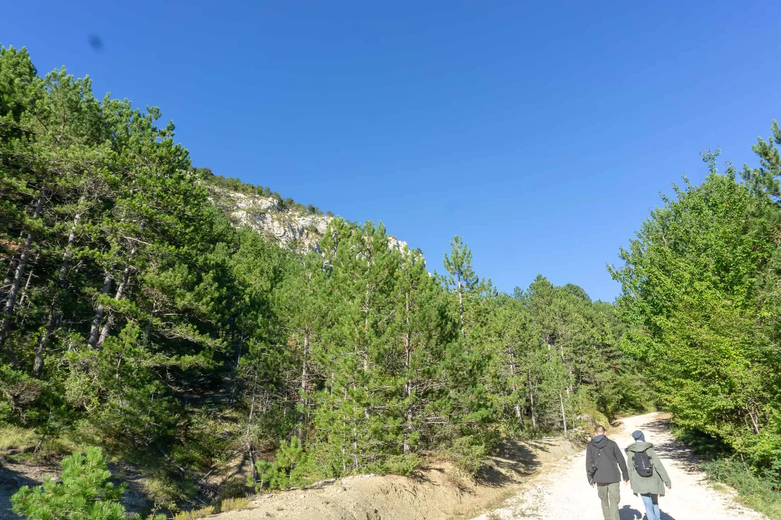 brest pod učkom Wandern mit Hund