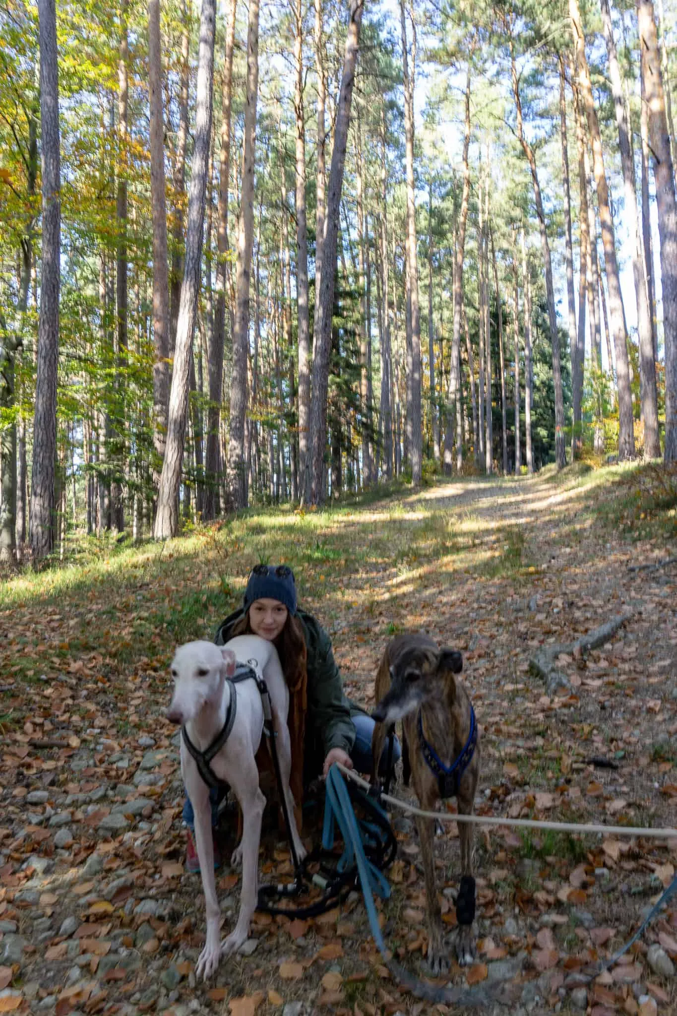 hundefreundliche Wanderung Bucklige Welt