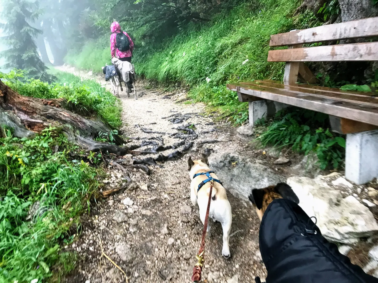 Bad Ischl Katrinalm
