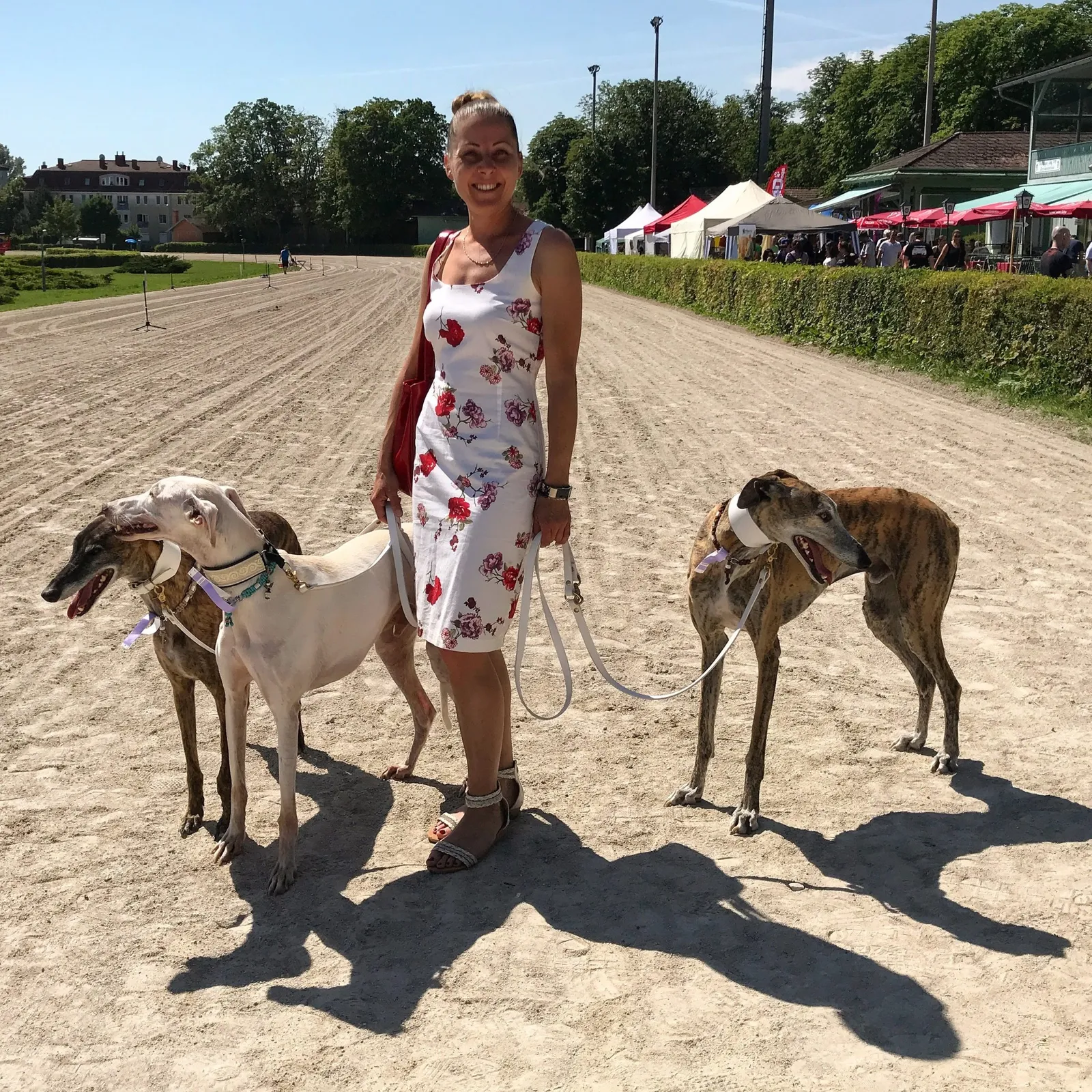 Hundeblog