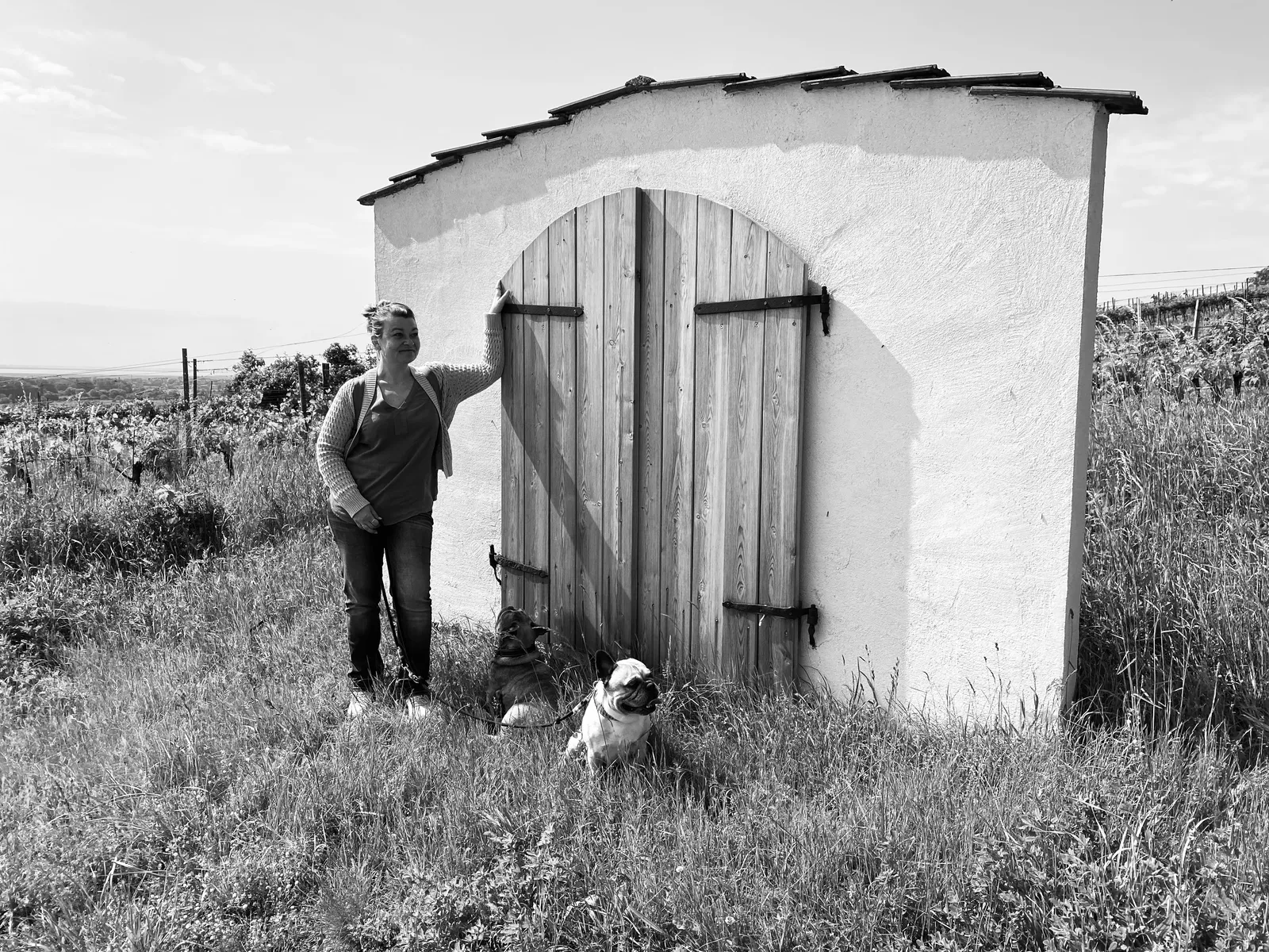 Wand-mit-Tor_Oggau-Weinwanderweg