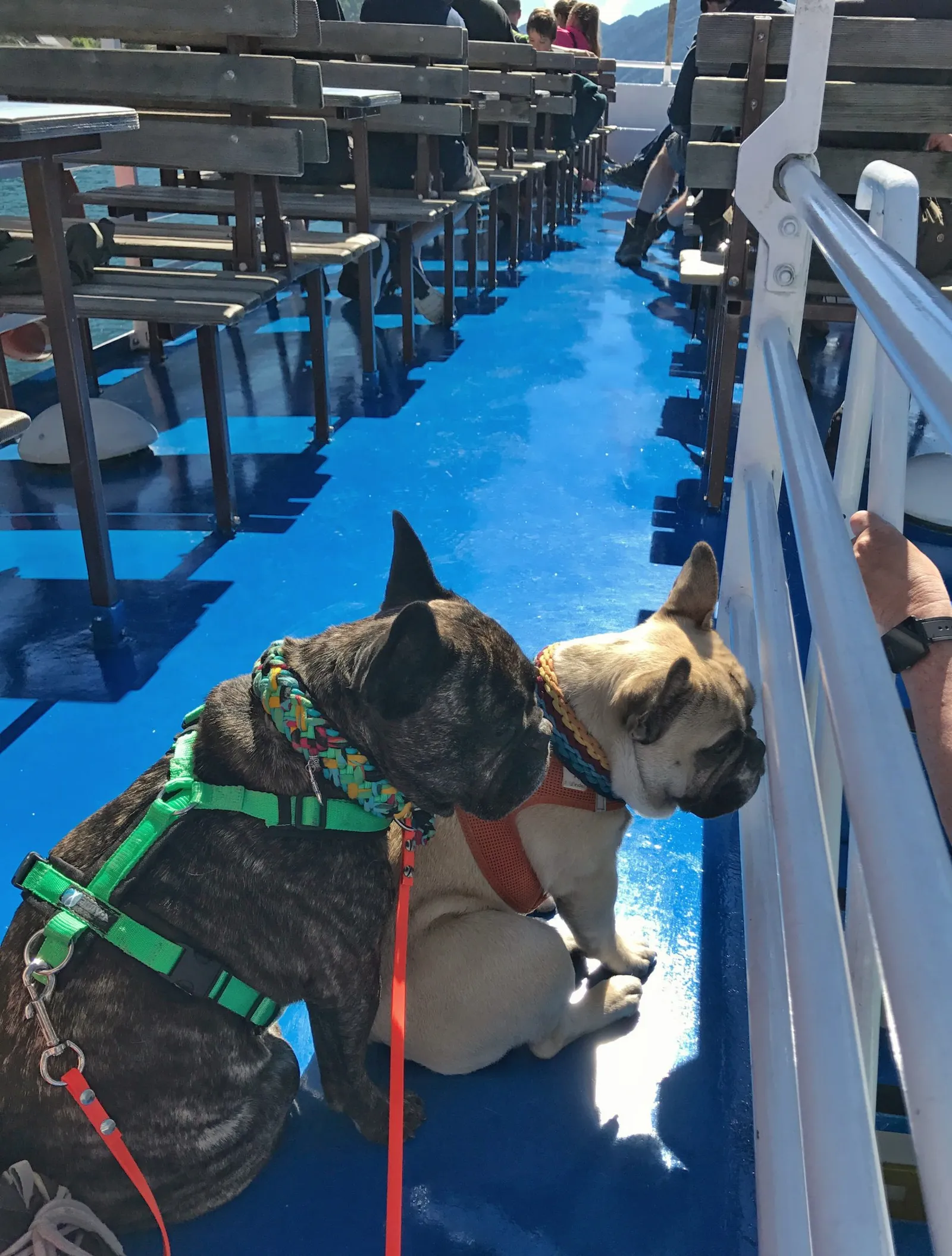 Urlaub mit Hund am Weissensee, Kärnten
