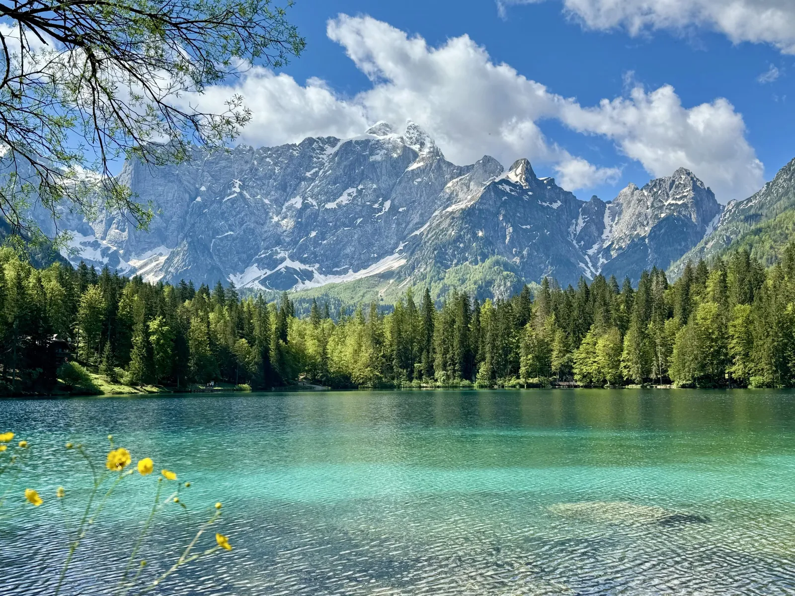 Türkisfarbener Bergsee mit Nadelwald und verschneiten Bergen, gelbe Blumen im Vordergrund.