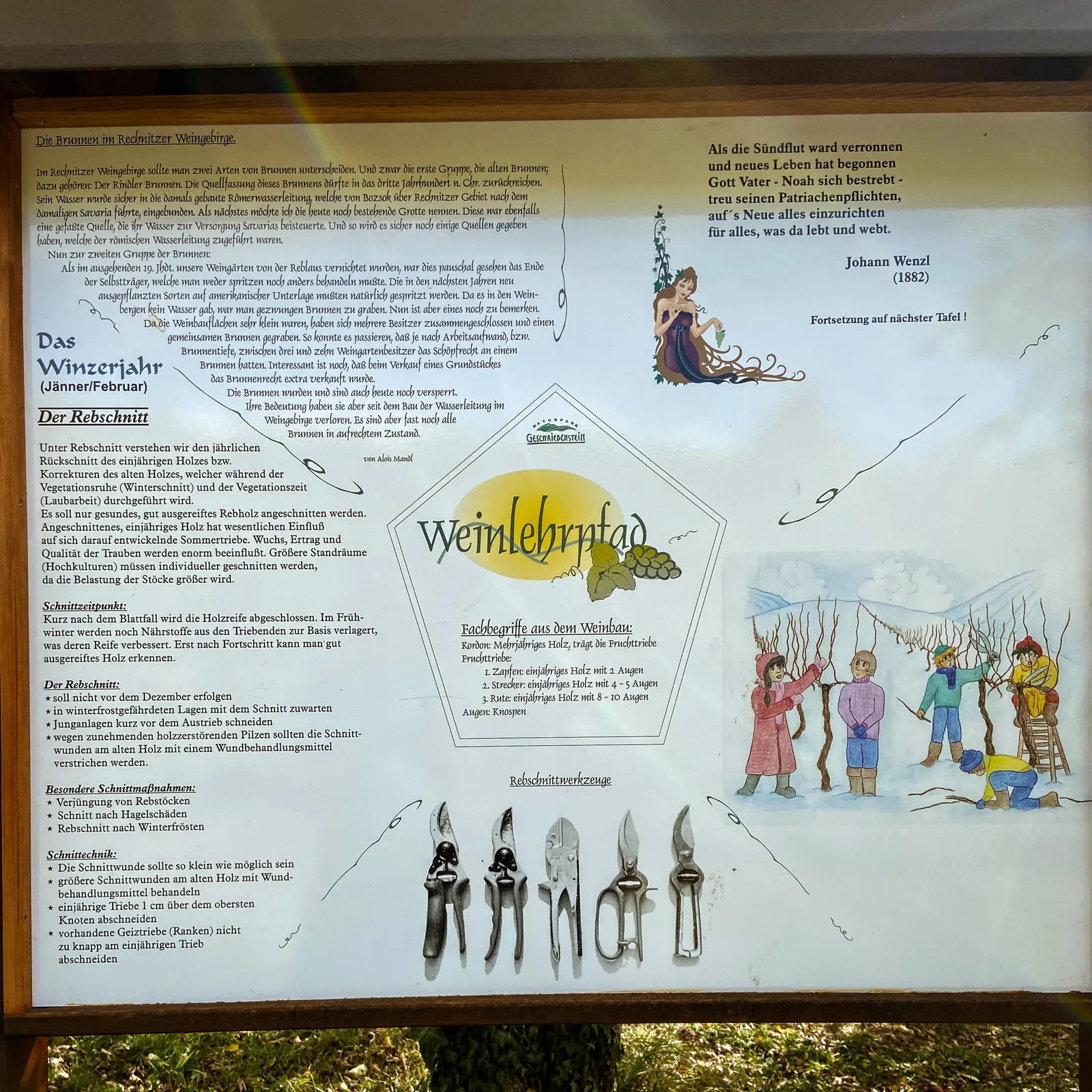 Weinlehrpfad Rechnitz Infotafel