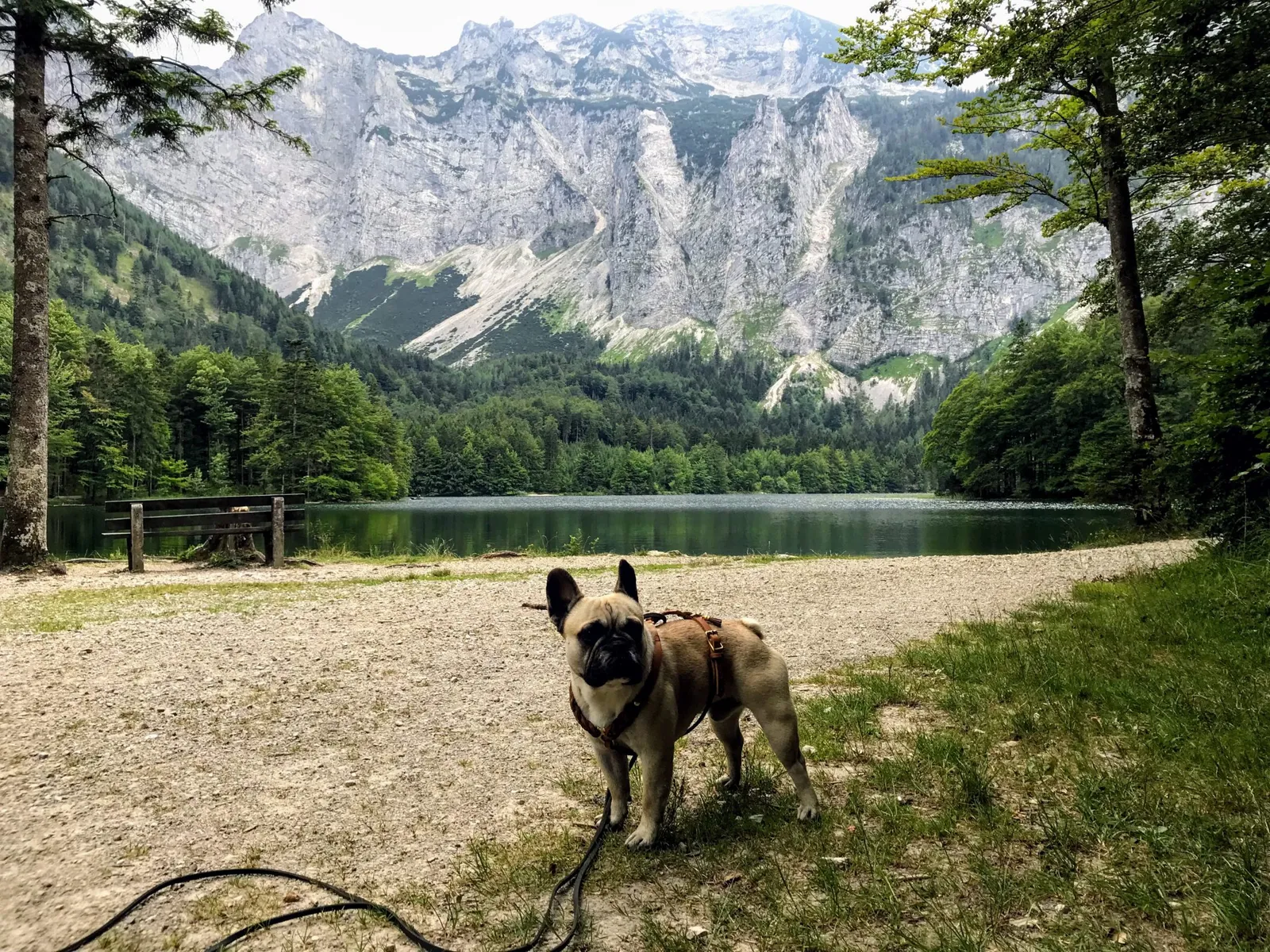 Salzkammergut