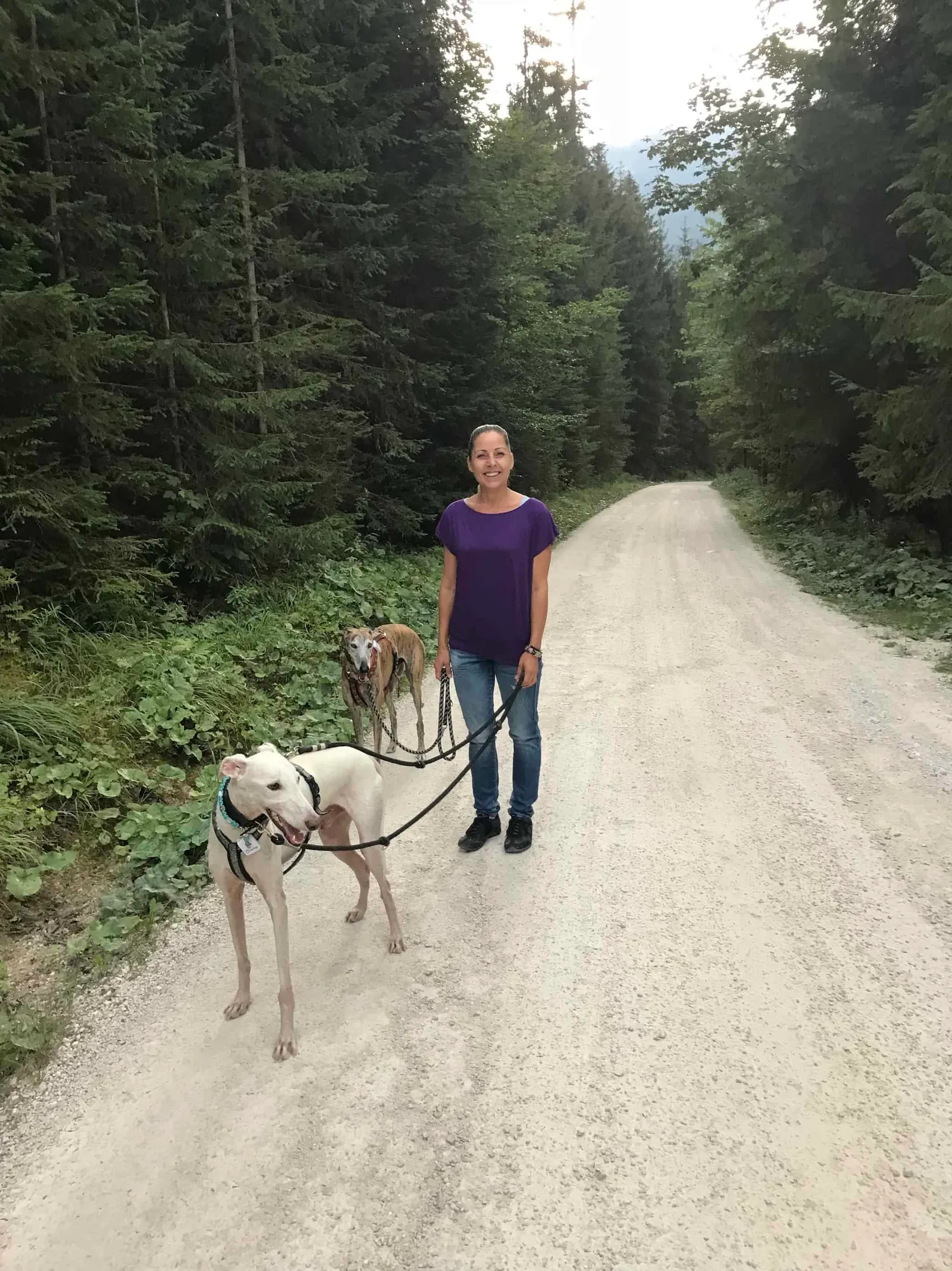 Urlaub mit Hund - Rußbach, Gosau, Traunsee - Salzburg & Oberösterreich
