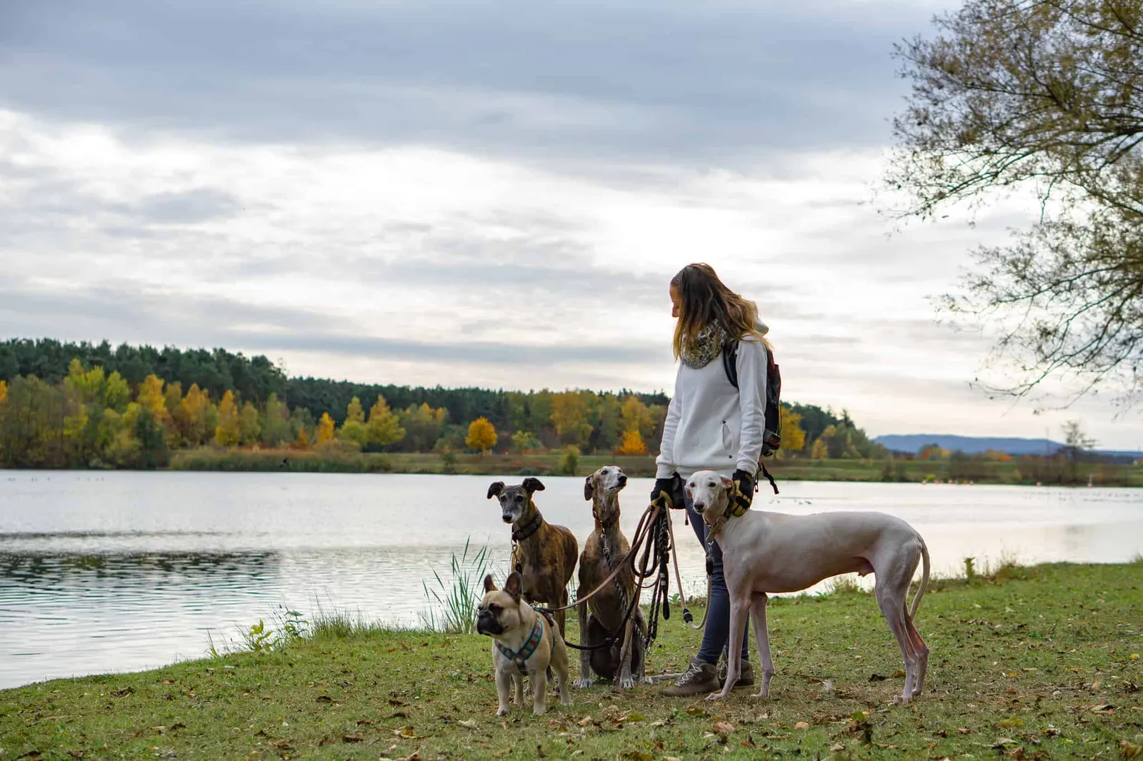 Hundereise Urlaub Rothsee Deutschland