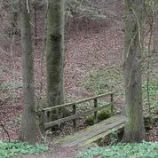 Image9