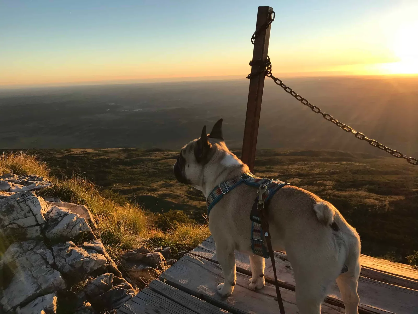 Urlaub Wandern Hund Vojak Kroatien