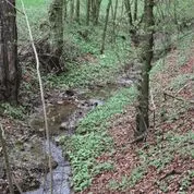 Image8