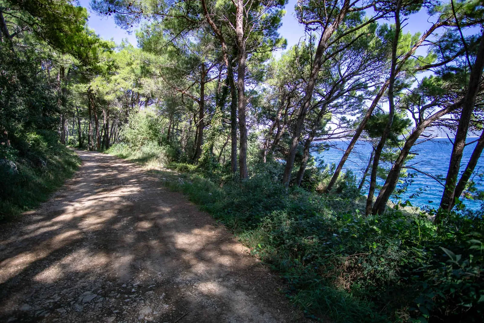 Urlaub Hund Kroatien Hundereise Rabac