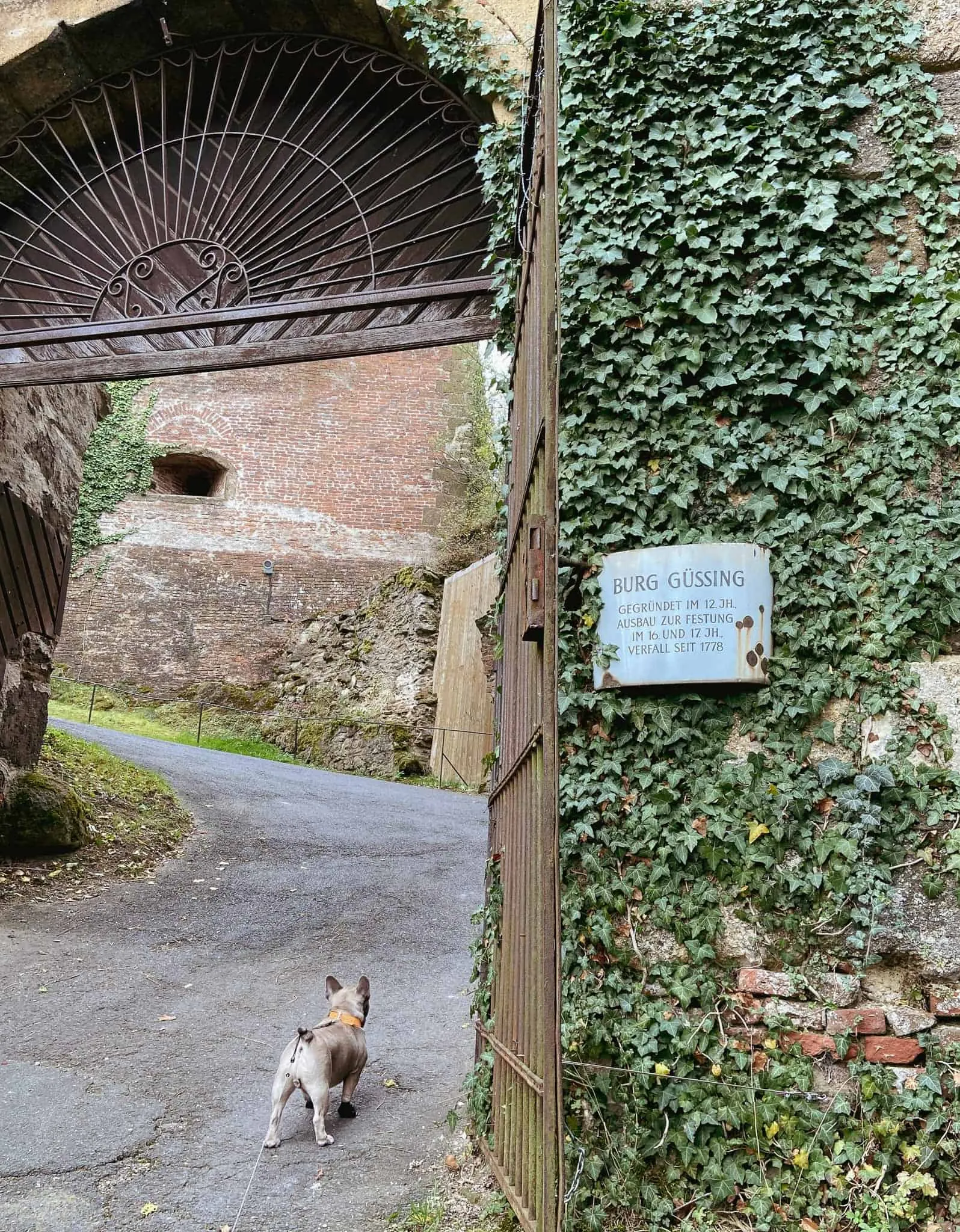 Durchschreiten des Tors zur Burg Güssing