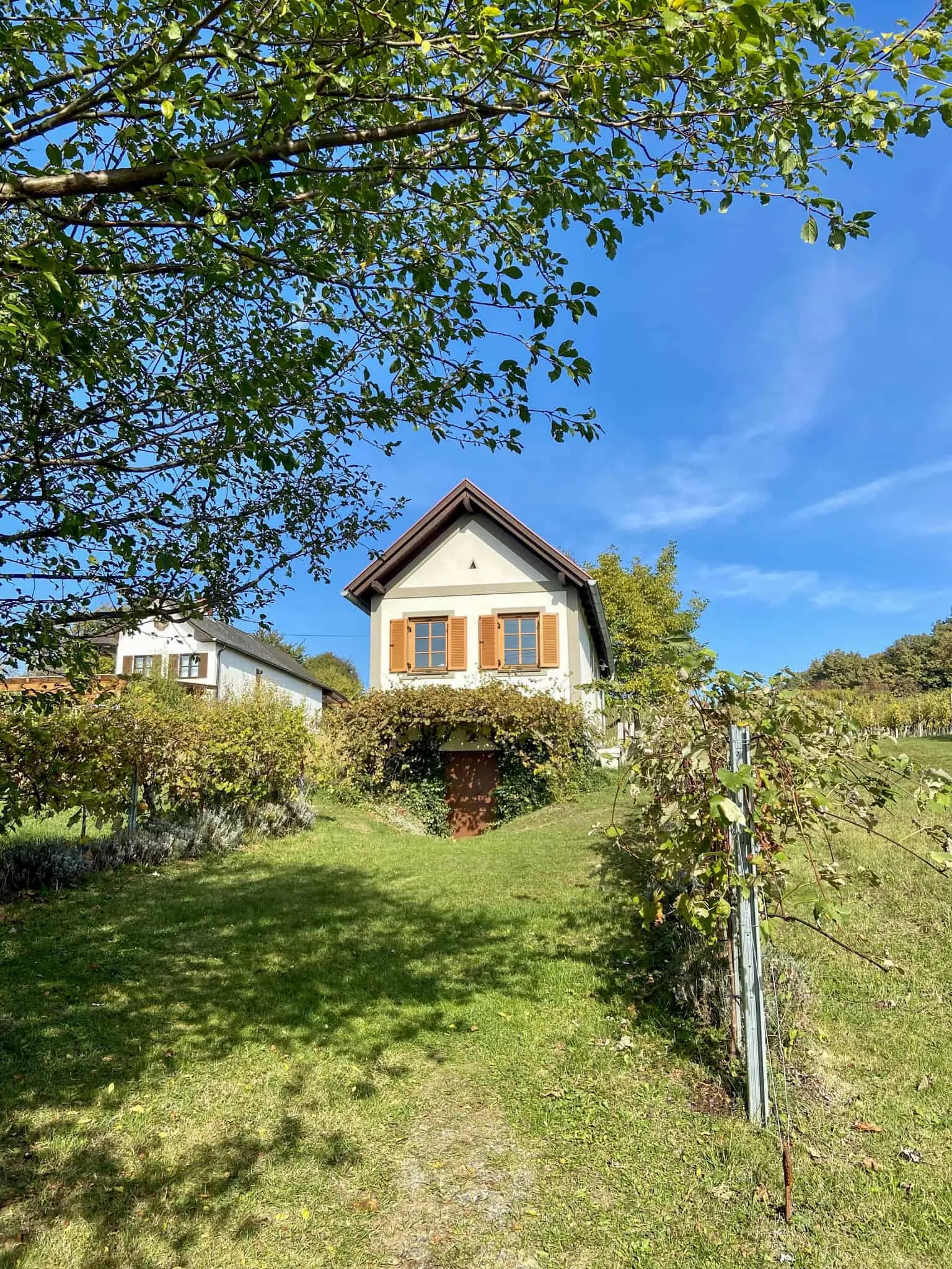 Weinloft am Radlingberg
