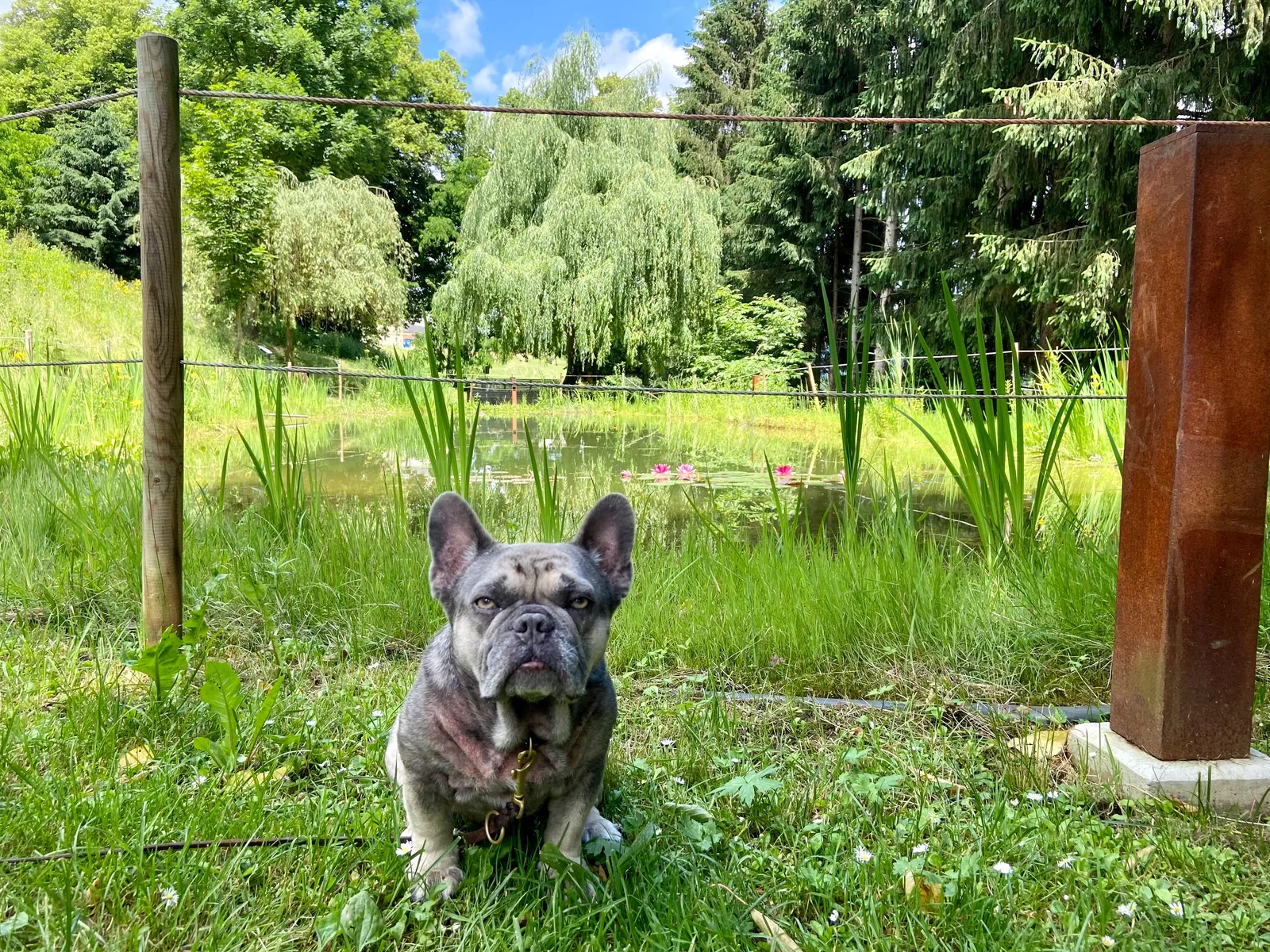 St. Andrae Verbotene Gaerten Archie und Teich