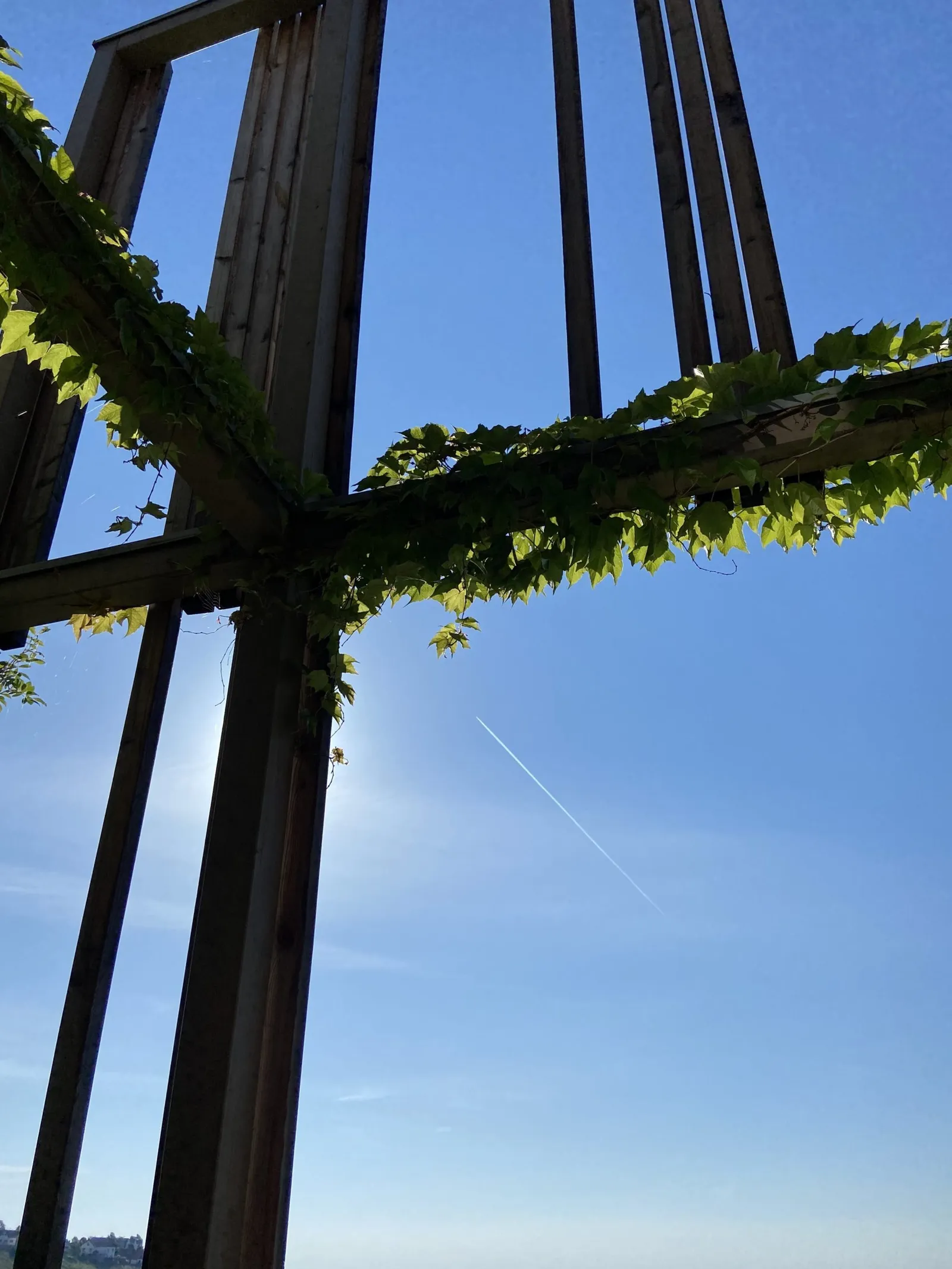Blauer Himmel hinter Weinloft Architektur