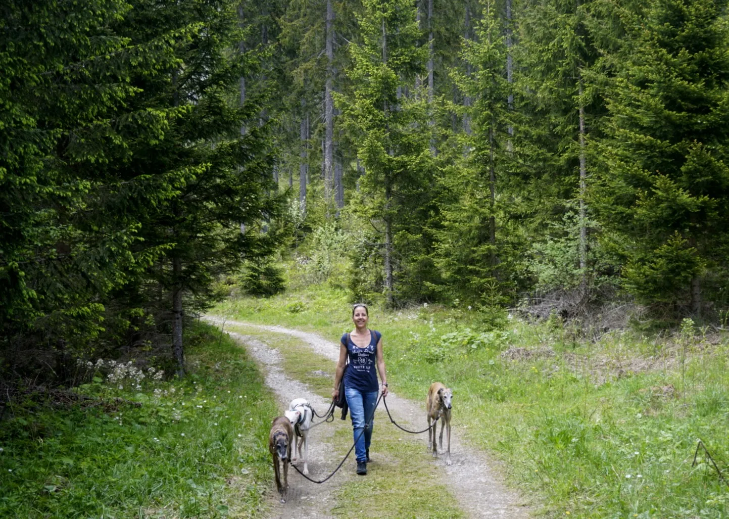 Grüner See Hundereise
