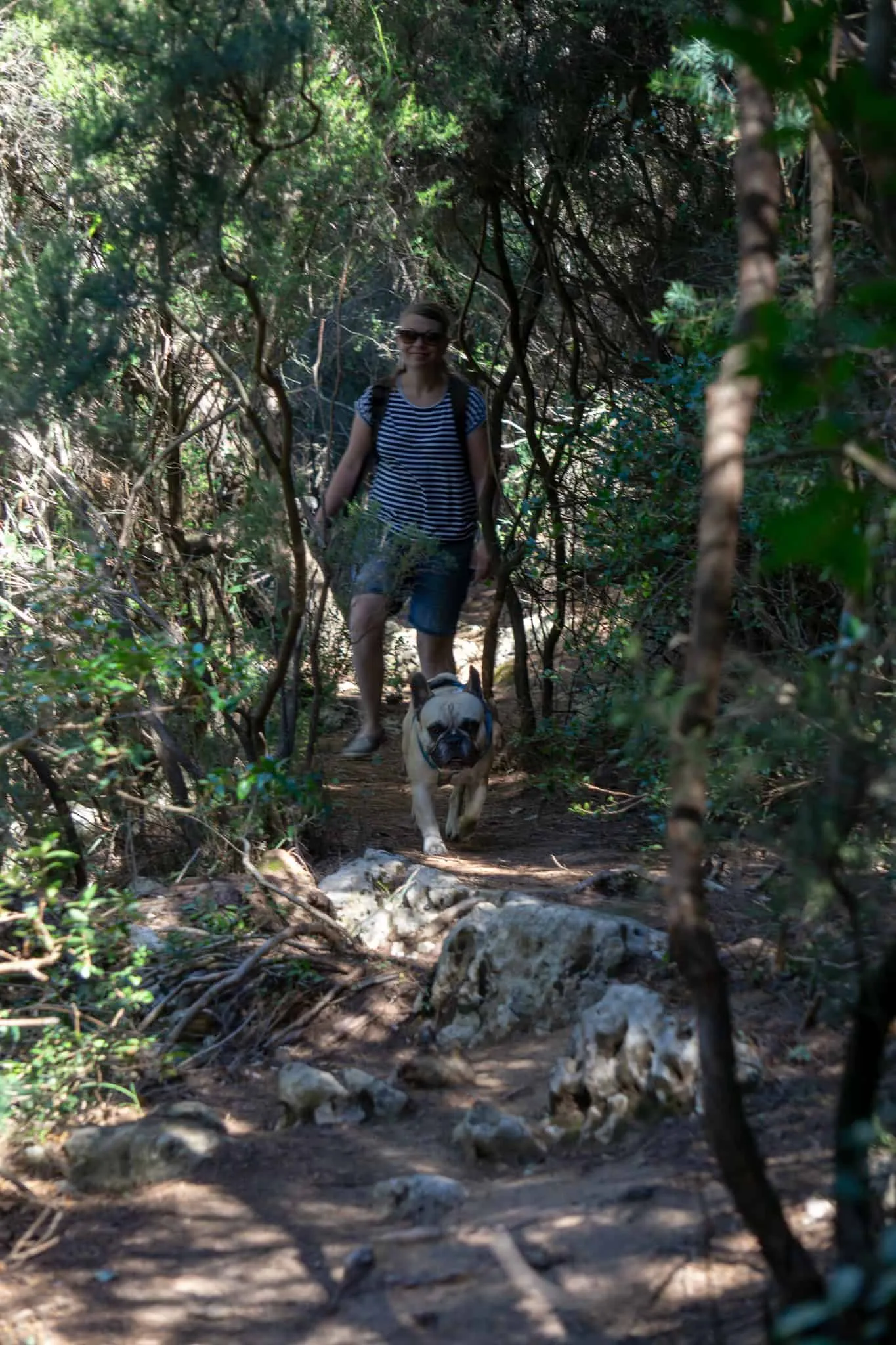 Urlaub Wandern Hund Kap Kamenjak Kroatien