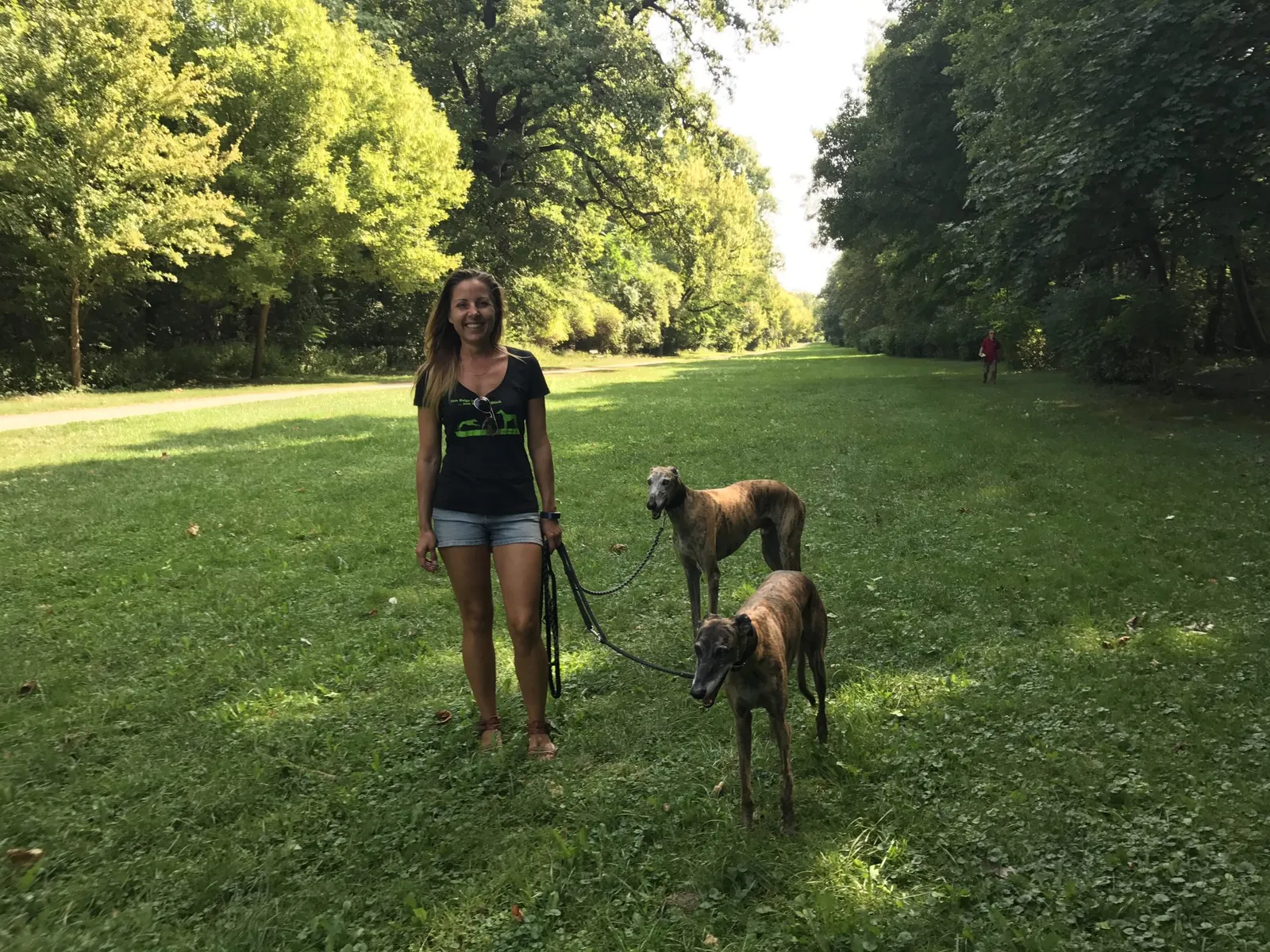 Spaziergang mit Hund in der Prater Hauptallee