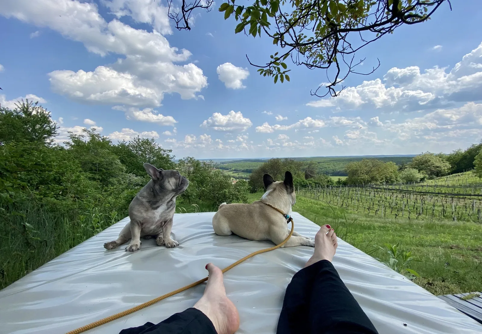 Archie Murphy und ich auf der Liege am Ende vom Weinloft Gartenhang
