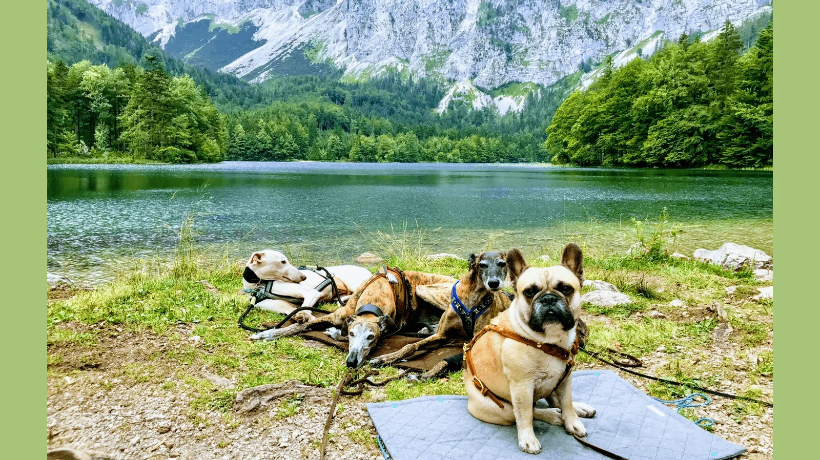Salzkammergut Teil1