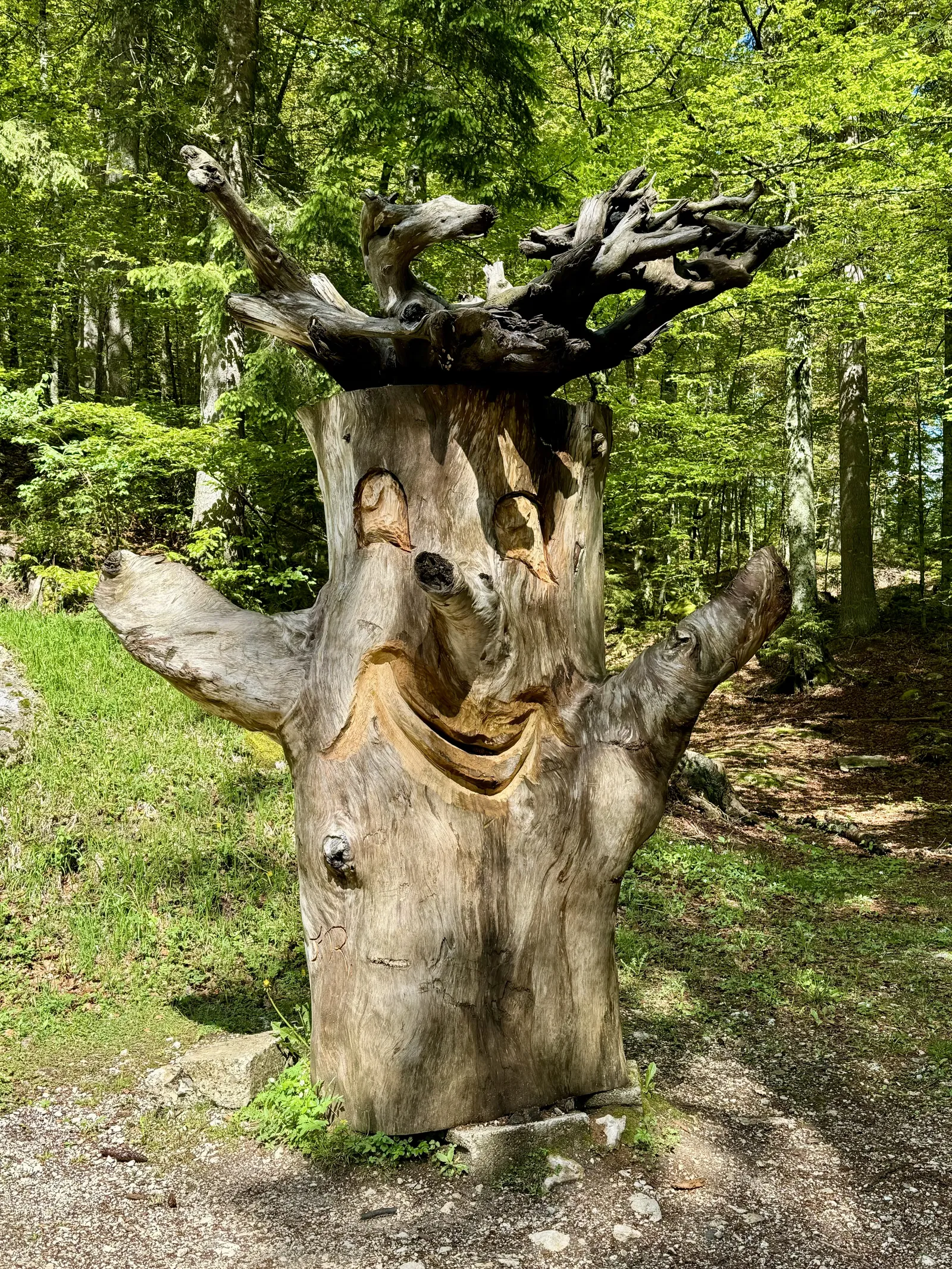 Verwitterter Baumstumpf mit geschnitztem Gesicht und ausgestreckten Ästen im sommerlichen Wald.