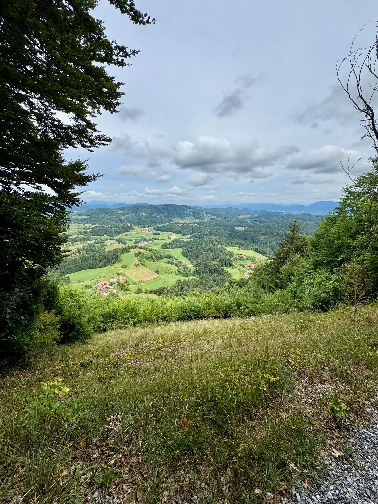 Grünes Tal mit Wäldern und verstreuten Häusern, dahinter bewaldete Berge unter bewölktem Himmel.