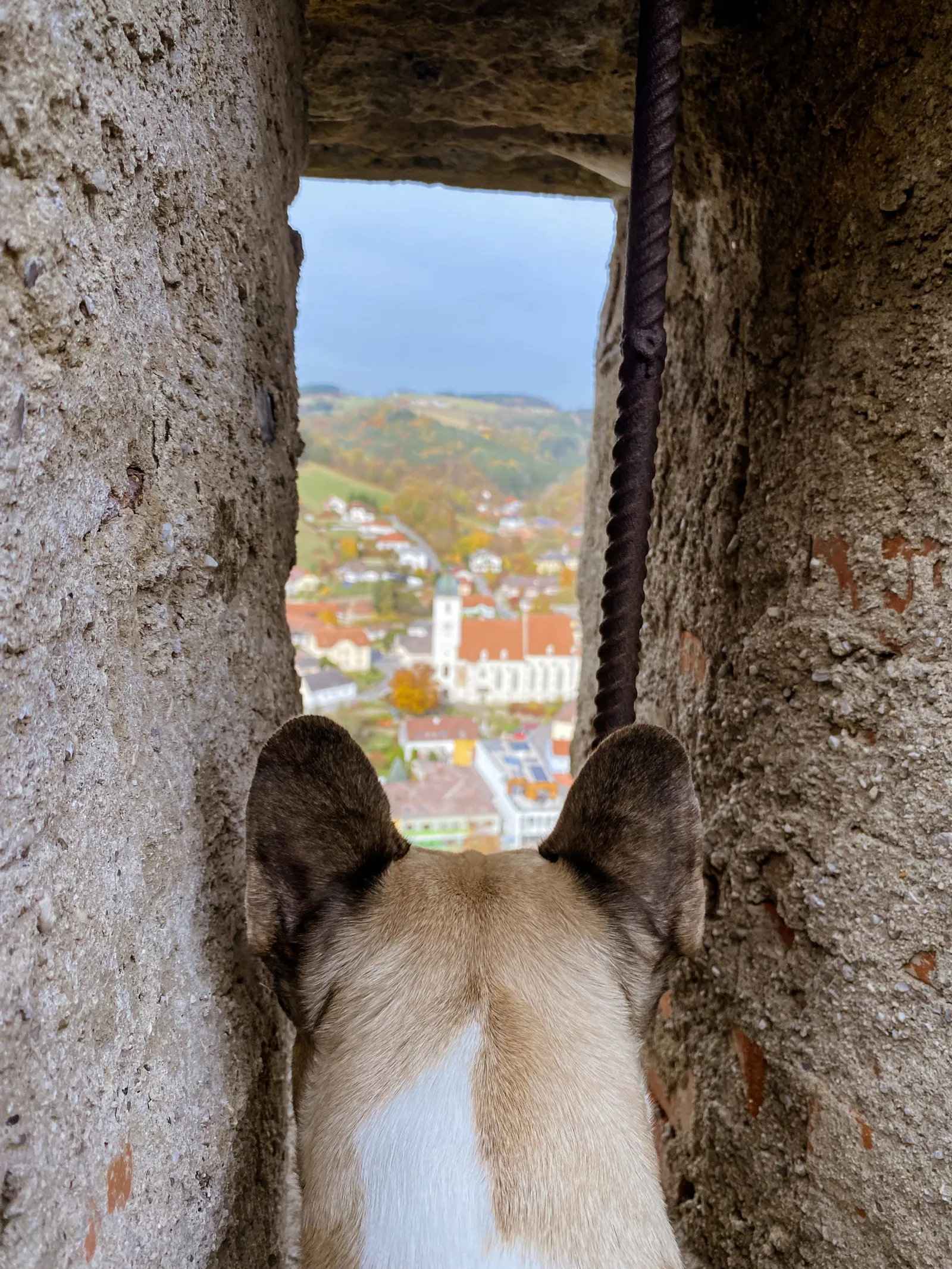 Burgruine Kirchschlag Murphy Ausguck