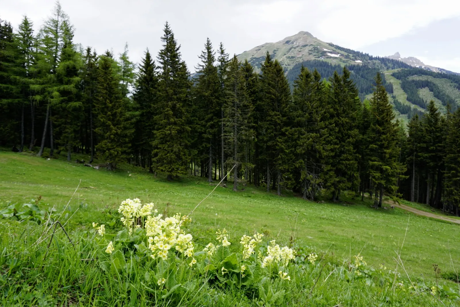 Eisenerzer Reichenstein