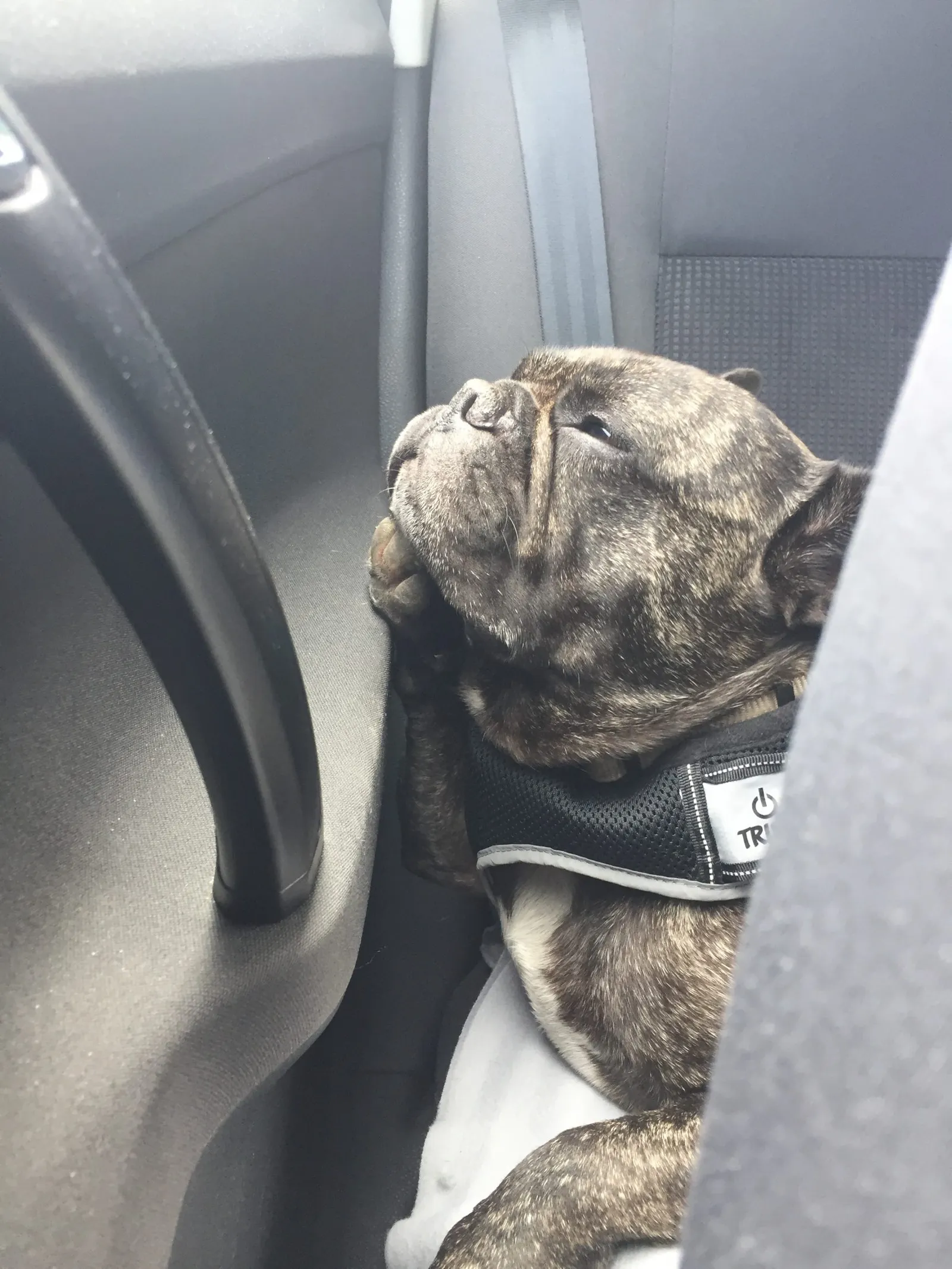 Che im Auto