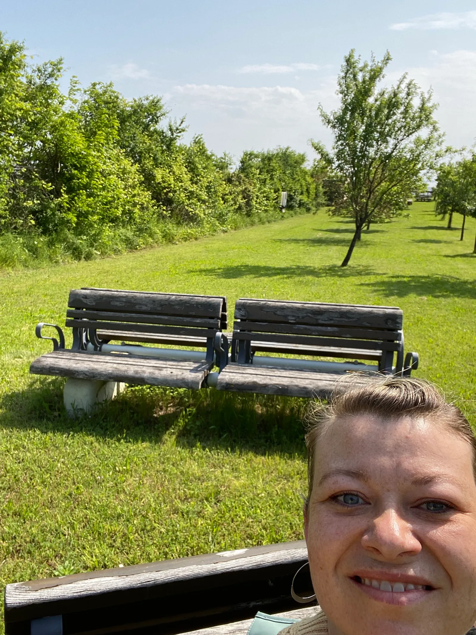 Wartebänke_Oggau-Weinwanderweg