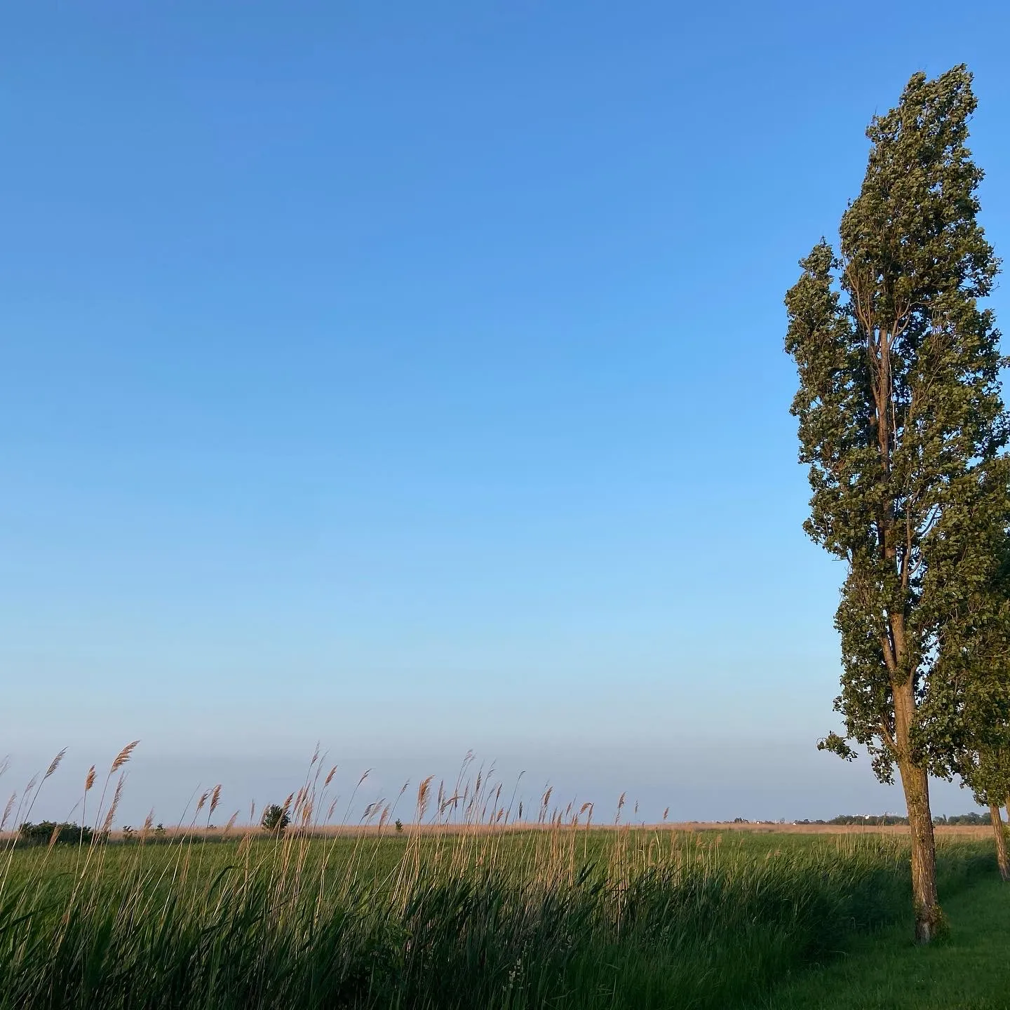 Horizont_Abendgassi_Mörbisch