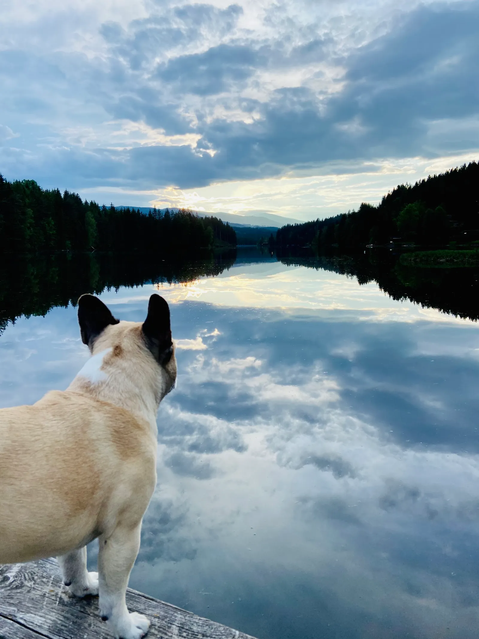 Murphy am Packer Stausee