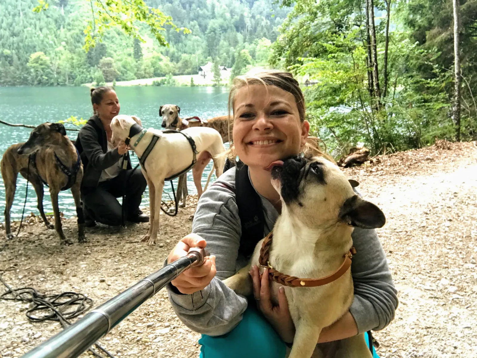 Urlaub mit Hund im Salzkammergut - Unterkunft und Wanderungen rund um Bad Ischl - Teil 1
