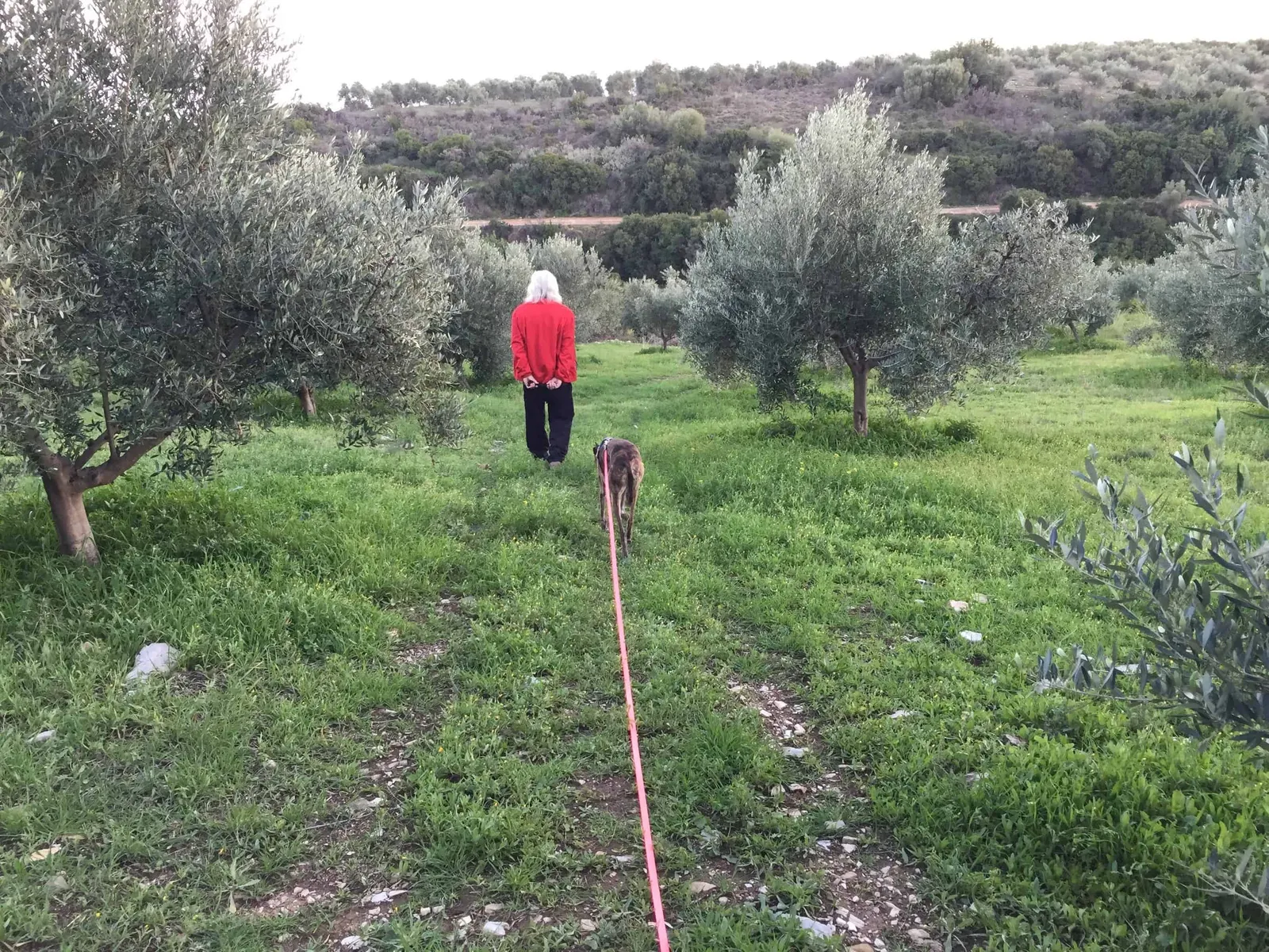 Urlaub mit Hund in Griechenland - über Aussteiger und Wanderungen