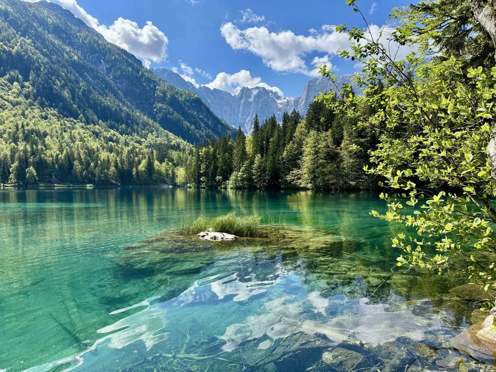 Kleines Felsinselchen mit Schilf im türkisfarbenen Bergsee vor bewaldeten Bergen.