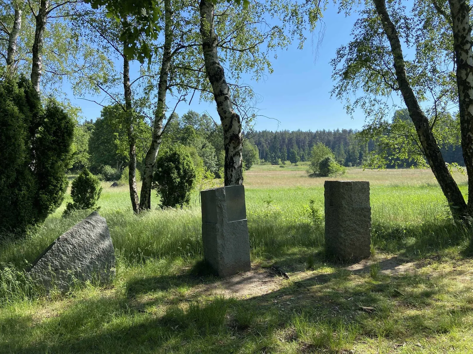 Granitsteine vor Wiese