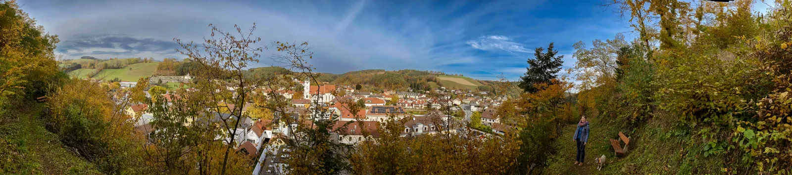 Burgruine Kirchschlag Panorama