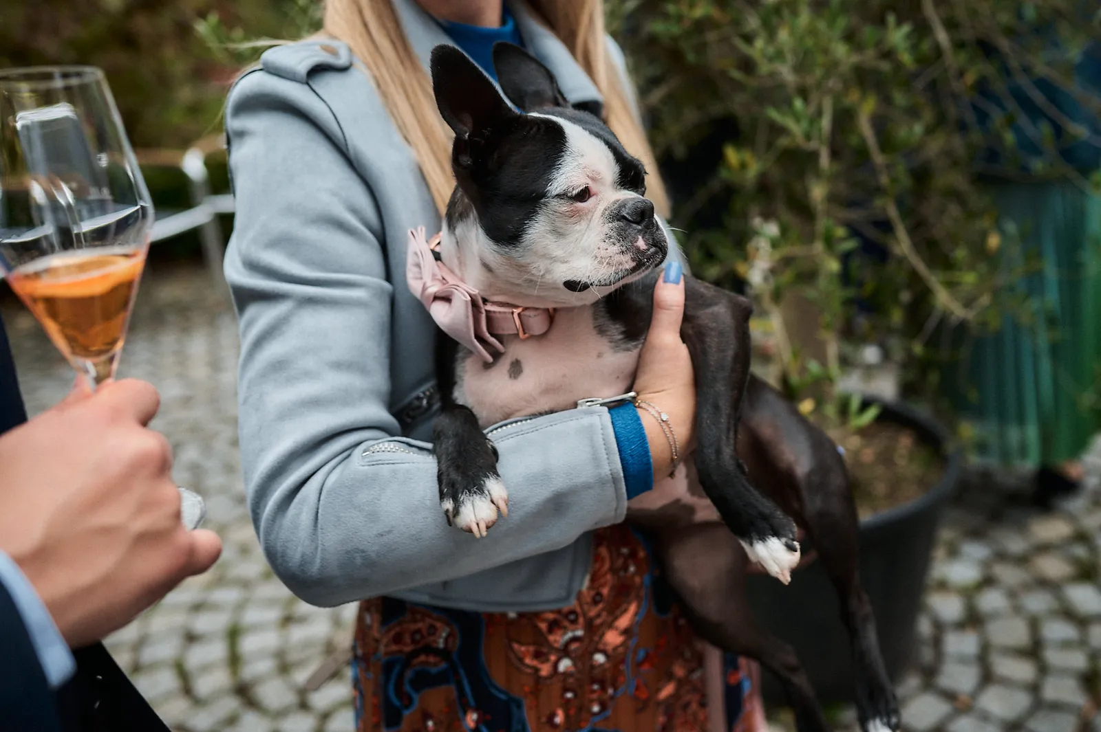 Babsi hält einen Boston Terrier im Arm bei einer Feier im Freien, daneben ein Sektglas.