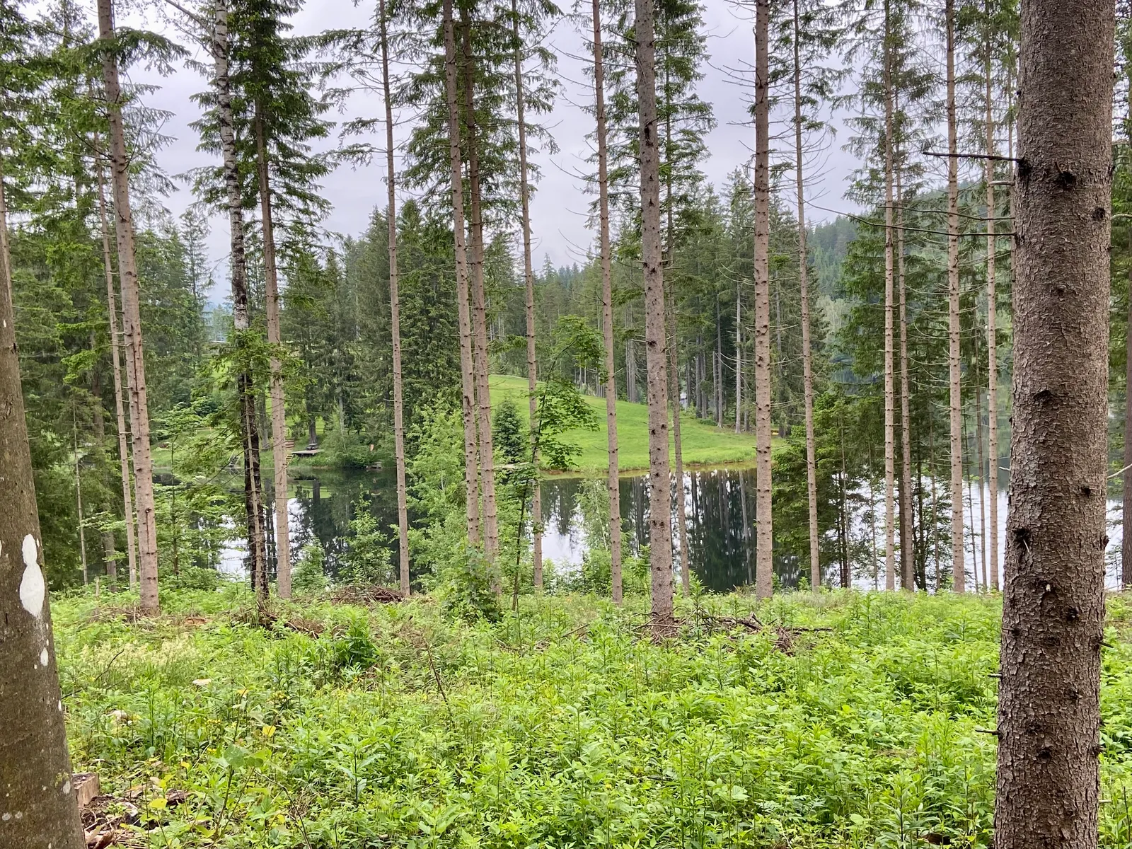 Andere Seite vom See