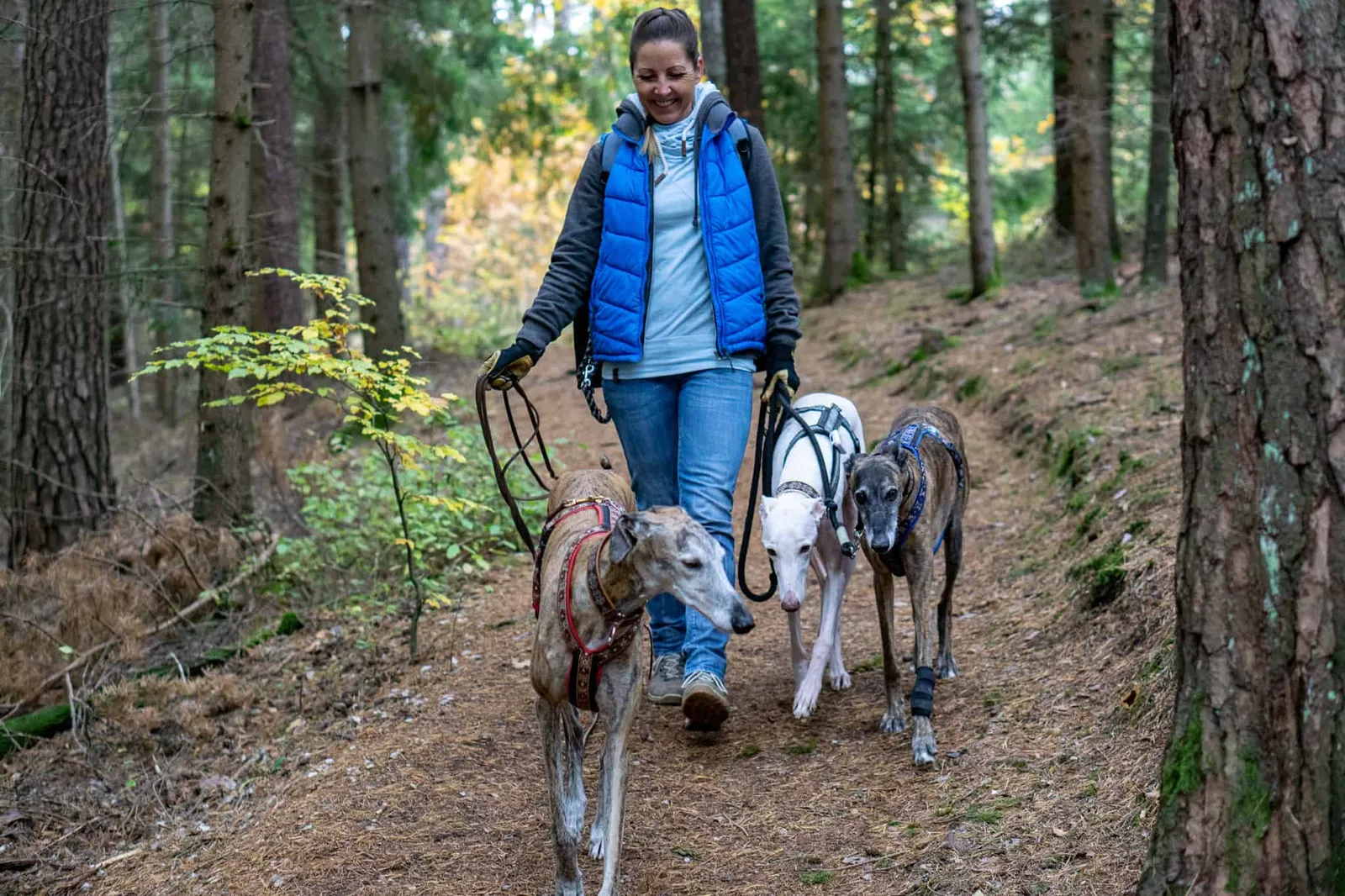 Hundereise Wandern Schwarzach Deutschland