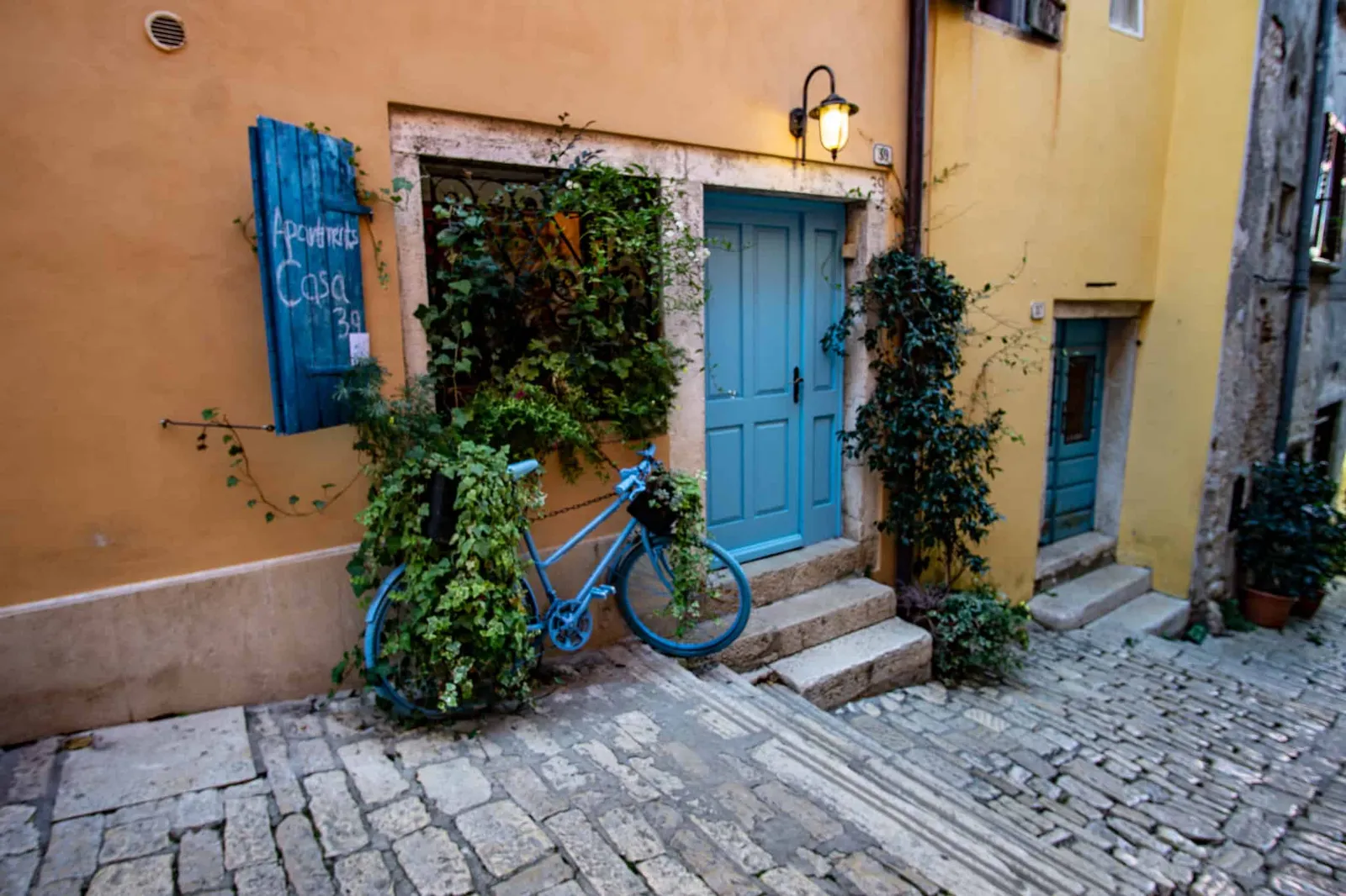 Rovinj Urlaub mit Hund Kroatien