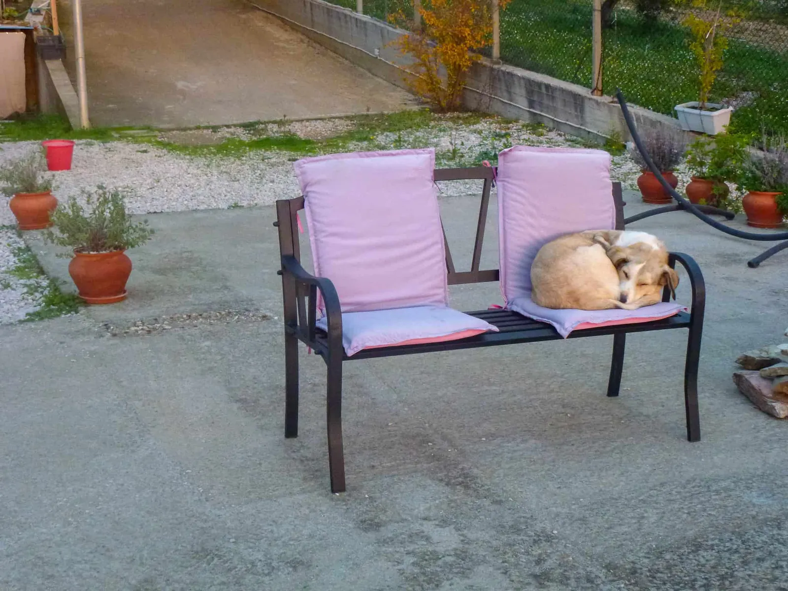 Urlaub mit Hund in Griechenland - über Aussteiger und Wanderungen