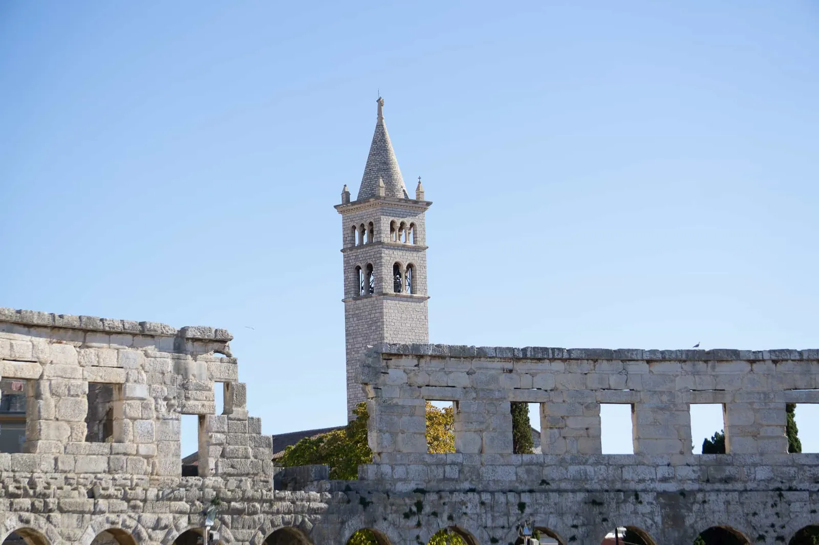 Urlaub Hund Pula Sightseeing Kroatien