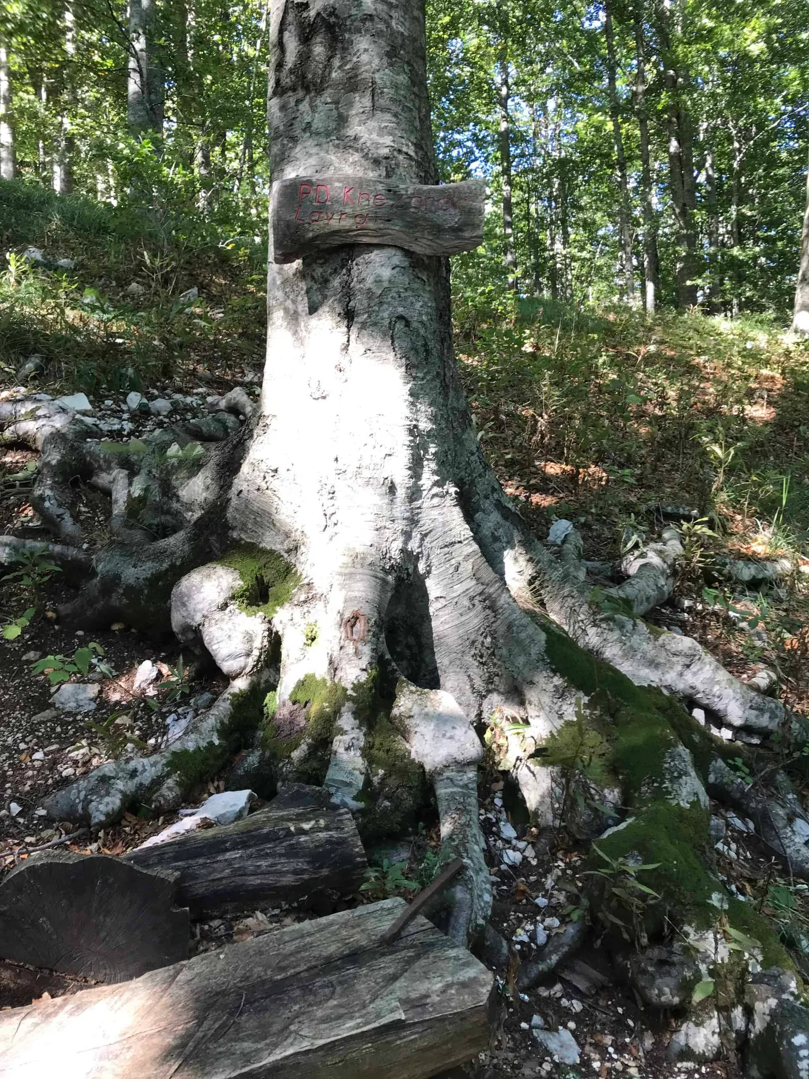 Urlaub Wandern Hund Vojak Kroatien