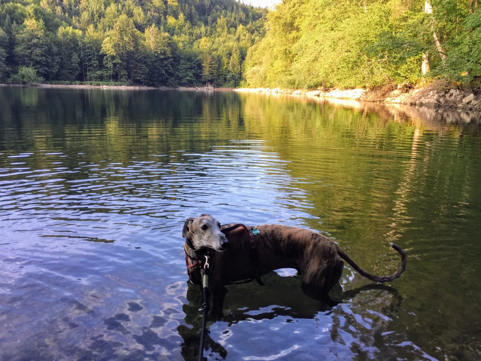 Nussensee Salzkammergut