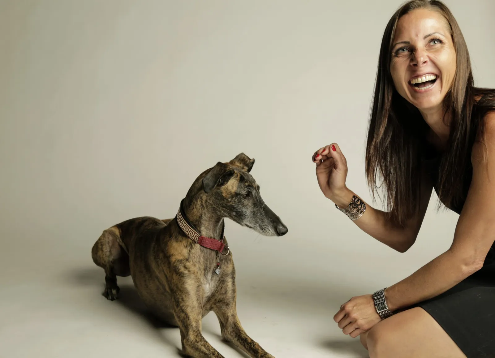 Fotoshooting Hund
