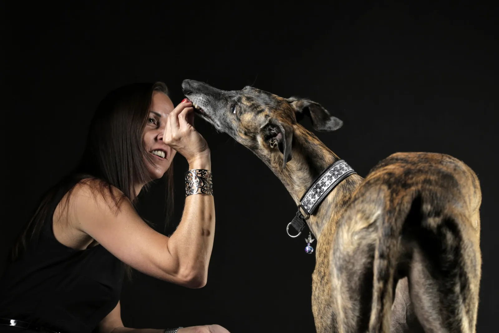 Fotoshooting Hund