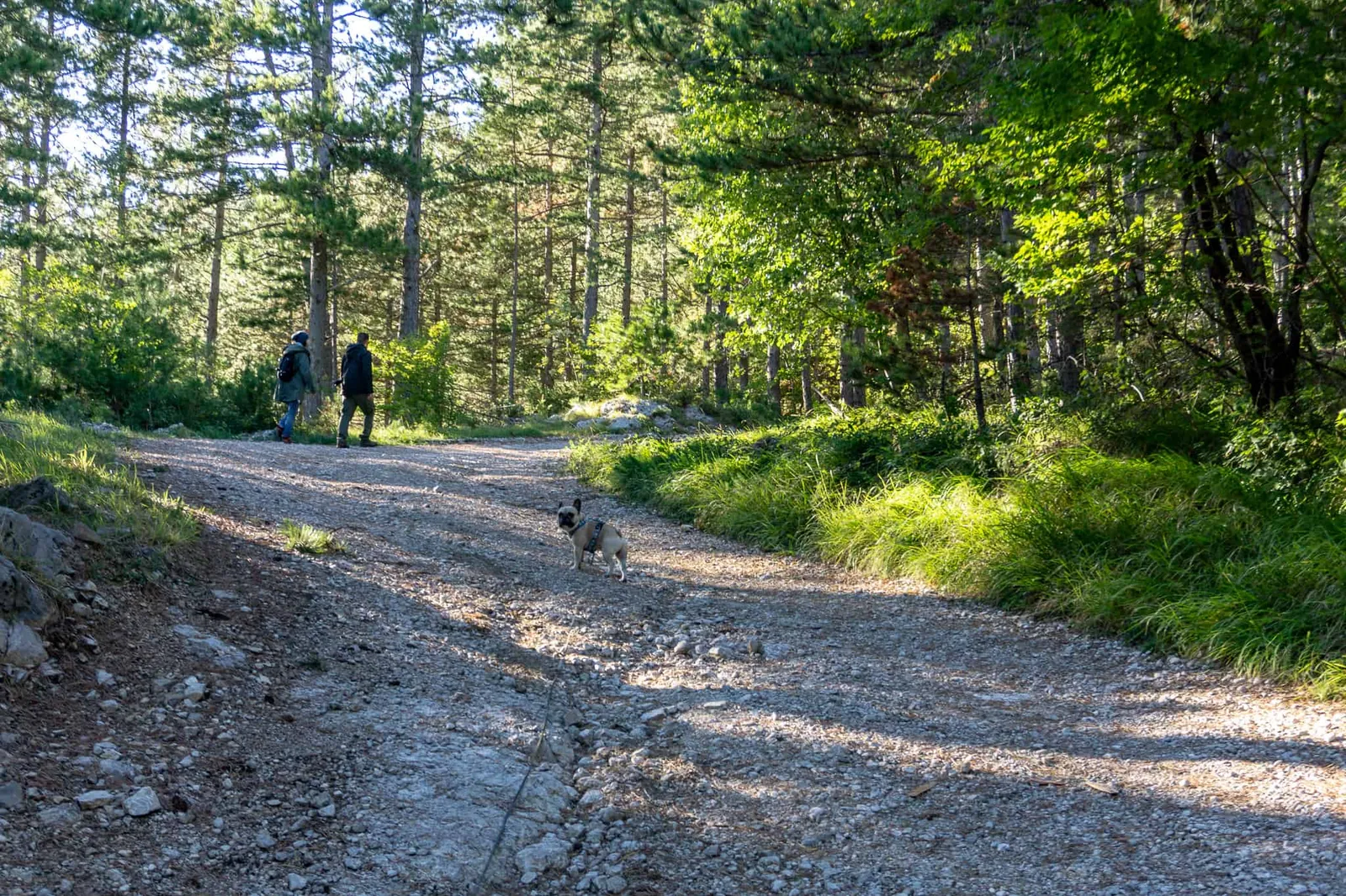 brest pod učkom Wandern mit Hund